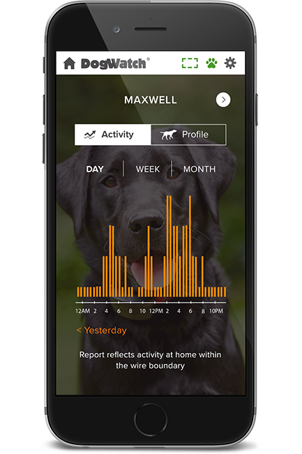 DogWatch of Litchfield & Upper Fairfield County, New Milford, Connecticut | SmartFence WebApp Image