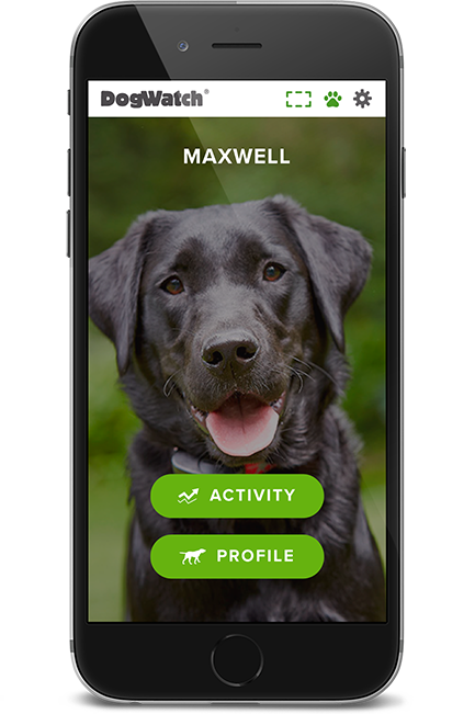 DogWatch of Litchfield & Upper Fairfield County, New Milford, Connecticut | SmartFence WebApp Image