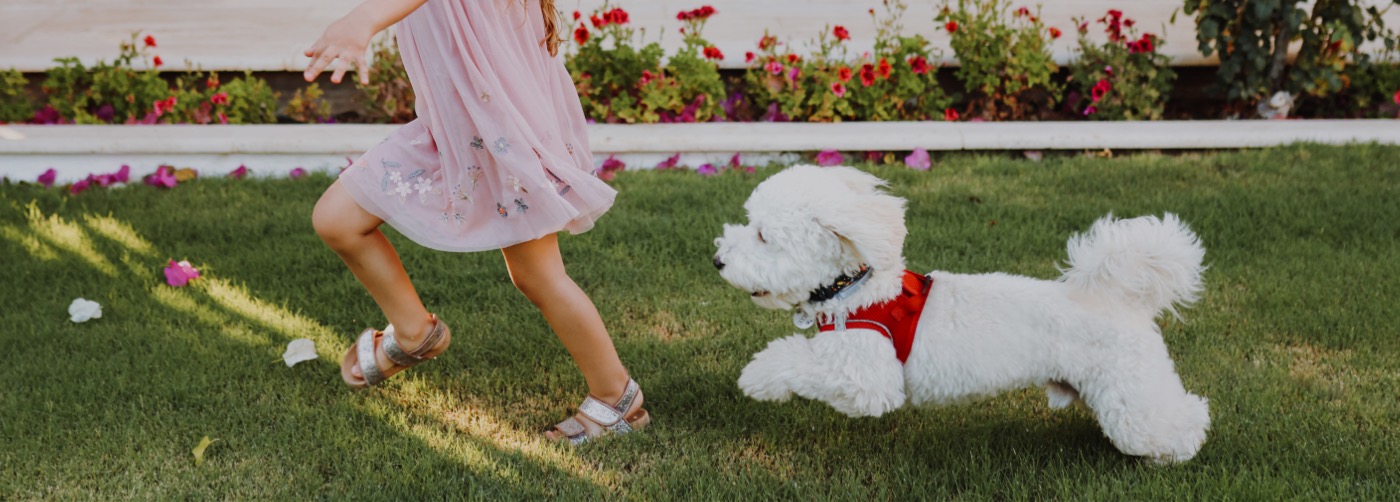 DogWatch of Litchfield & Upper Fairfield County, New Milford, Connecticut | Outdoor Hidden Dog Fences Slider Image